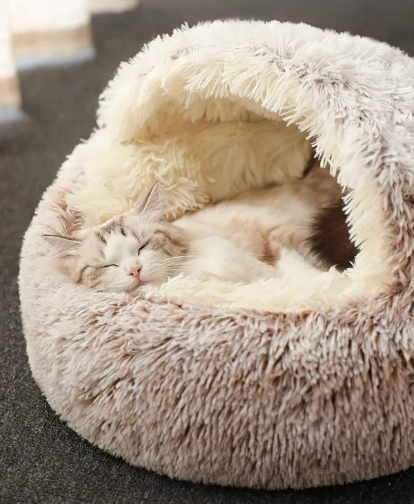 Katzenschlafsack Plüsch-Kuschelhöhle selbstwärmend